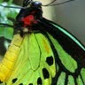 Meet your Posher, Lrh